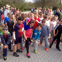 Volleyballprojekt